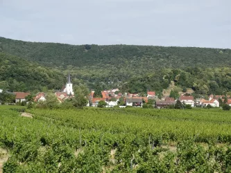 DSC00681
