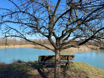 Erlebnislandschaft Erdekaut Bank am großen Weiher