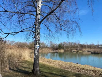 Erlebnislandschaft Erdekaut Großer Weiher
