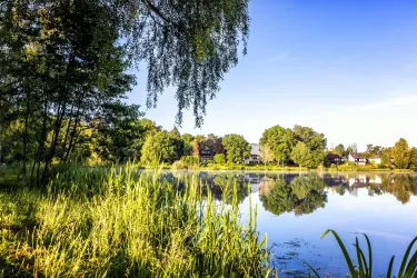 Ein ruhiger See umgeben von Bäumen und hohem Gras. Die Wasseroberfläche spiegelt die Natur und das klare blaue Himmel wider.