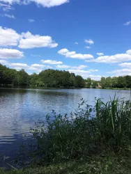Mohrmühlweiher, Ansicht 1 (© FVZV Pfälzer Bergland, Foto: Ludmilla Schwarz)