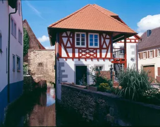 Mühle Großkarlbach 1_PeterDell