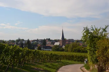 Eine idyllische Landschaft mit Weinbergen und einem kleinen Dorf im Hintergrund. Der Kirchturm ragt über die Gebäude hinweg unter einem klaren Himmel.
