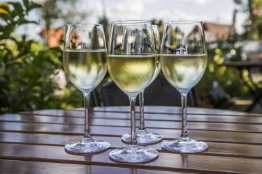 Fünf Gläser mit Weißwein stehen auf einem Holztisch. Im Hintergrund sind grüne Pflanzen und ein blauer Himmel sichtbar.