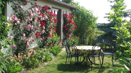 Garten im Sommer (© Winzerhof am Teufelsberg)