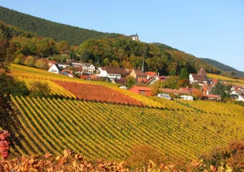 Stellplatz im Herbst (© Winzerhof am Teufelsberg)