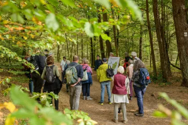 Biosphaerenwanderung Roppeviller (© Büro für Tourismus Landau Land)