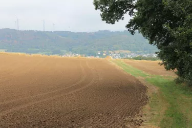 Preußensteig am Steinberg Ausblick (© Jürgen Wachowski, FVZV Pfälzer Bergland)