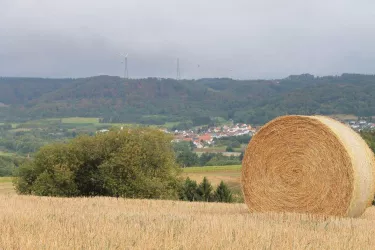 Ausblick vom Hang des Steinbergs auf Reichweiler (© FVZV Pfälzer Bergland; Foto Jürgen Wachowski)