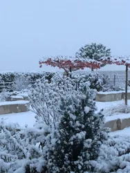 Garten im Winter (© Zimpelmann)