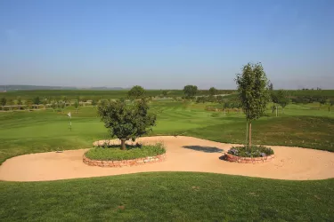 Golfplatz Bild 1 (© Golfgarten Deutsche Weinstraße)