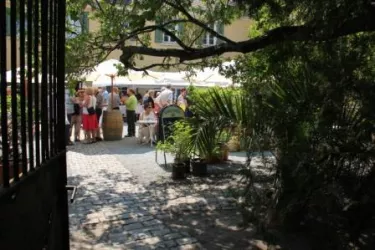 Serenade im Park 2 (© Weingut Winkels-Herding)