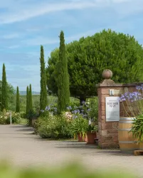 Der Eingang zum Weingut ist mit einer Sandsteinmauer begrenzt. Ein Weinfass und zahlreiche Kübelpflanzen säumen den Weg. Zypressen und große Nadelbäume runden den mediterranen Stil ab.