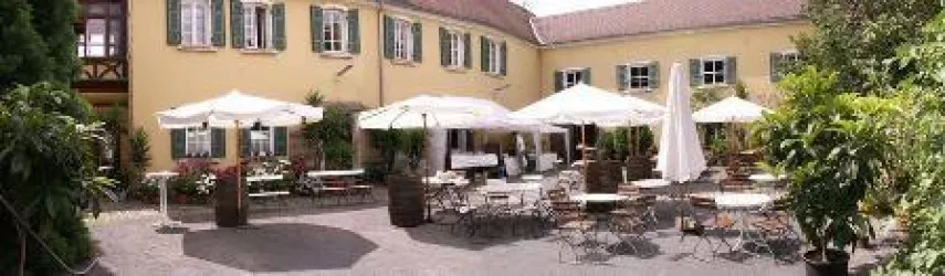 Der Innenhof des Weingutes Winkels-Herding ist mit Holz-Metall Klappstühlen und Tischen sowie weißen Sonnenschirmen dekoriert. Große Kübelpflanzen ergänzen die Gartenbepflanzung. Die Gebäude des Weingutes sind l-förmig im Hintergrund zu sehen. Der Verputz ist gelb gestrichen, die Klappläden sind grün.