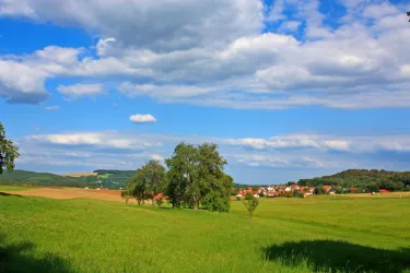 Eine malerische Landschaft mit grünem Gras und vereinzelten Bäumen. Im Hintergrund ist ein kleines Dorf unter einem blauen Himmel mit vielen Wolken zu sehen.