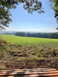 Eine weite Wiesenlandschaft unter einem klaren blauen Himmel. Im Vordergrund sind Bäume und eine Holzbank zu sehen.