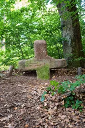 Ein großer, moosbedeckter Stein in Form eines Kreuzes steht im Wald. Umgeben von Bäumen und fallenem Laub wirkt er geheimnisvoll und alt.