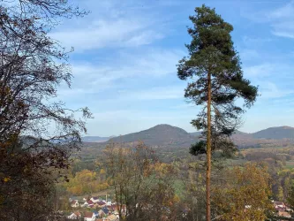 Aussicht Eichelberg II (© Archiv Verein SÜW Annweiler e.V.)