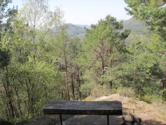 Picknickplatz (© Verein SÜW Annweiler e.V.)