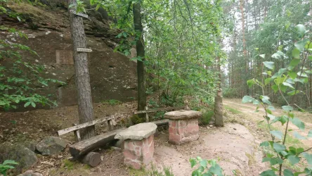 Picknick 2 (© Verein SÜW Annweiler e.V.)