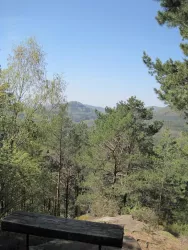 Schöne Aussicht Gossersweiler-Stein (© Archiv Verein SÜW Annweiler e.V.)