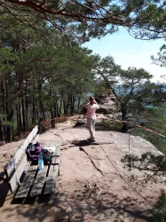 Picknickplatz (© Verein SÜW Annweiler e.V.)