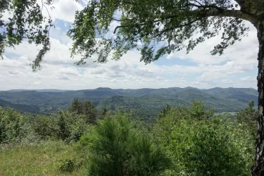 Eine weite Landschaft mit Hügeln und viel Grün. Der Himmel ist teilweise bewölkt und es gibt dichte Bäume im Vordergrund.