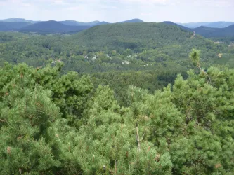 Eine grüne Berglandschaft mit dichten Wäldern und sanften Hügeln. Der Himmel ist bewölkt und bietet einen ruhigen Ausblick auf die Natur.