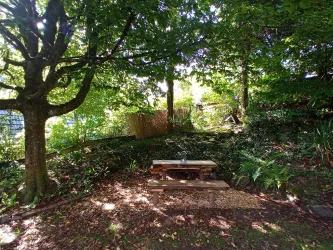 Ein gemütlicher Picknickplatz im Schatten großer Bäume. Die Umgebung ist grün und einladend, ideal zum Entspannen.