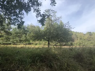 Natur vor der Haustür