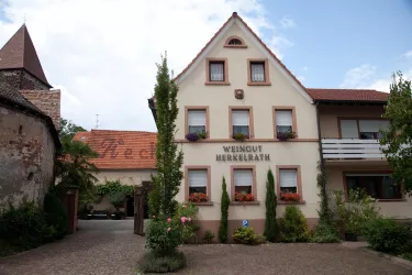 Weingut Herkelrath, Obrigheim Hausansicht