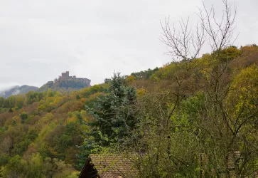 Wiesenstraße (© Verein SÜW Annweiler e.V.)