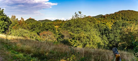 Blick auf Burgendreifaltigkeit (© Wohlrabe Quadronet, Verein SÜW Annweiler e.V.)