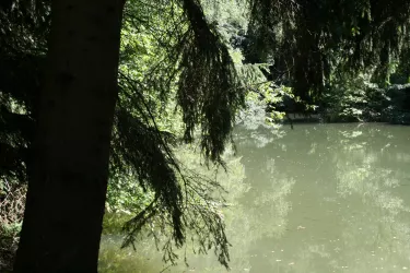 Weiher an der PWV-Hütte