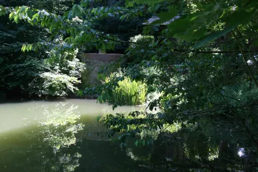 Weiher an der PWV-Hütte