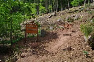 Einstieg Klettersteig "Alpiner Steig" (© Büro für Touristik KL-Süd)