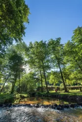 An der Moosalb