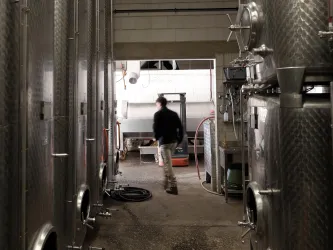 Ein Kellerrraum mit großen silbernen Weinbehältern und einem Mann, der hindurchgeht. Das Licht kommt von einem Eingang am Ende des Raums.