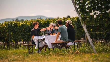 Eine Gruppe von Freunden sitzt an einem Tisch im Weinberg und stößt mit Gläsern an. Im Hintergrund sind grüne Reben und sanfte Hügel zu sehen.
