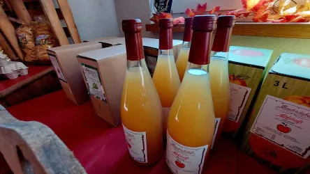 Saft Handrichshof Meckenheim Pfalz