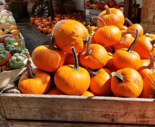 Ein Holzbehälter voller leuchtend orangefarbener Kürbisse steht auf einem Markt. Im Hintergrund sind weitere Kürbisse und Gemüse sichtbar.