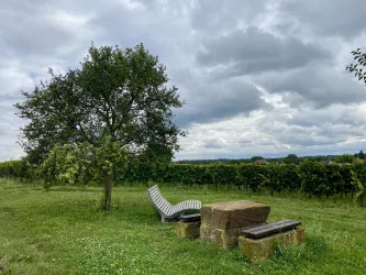 Picknickplatz „Dorfblick“ (3)