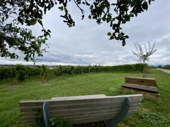 Picknickplatz „Dorfblick“ Ausblick
