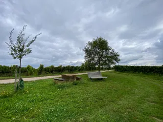 Picknickplatz „Dorfblick“ (2)