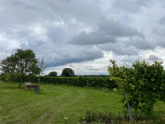 Picknickplatz „Dorfblick“ (1)