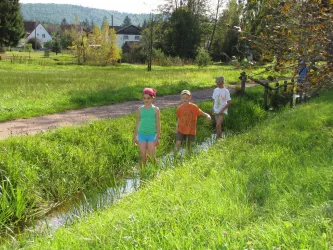 Barfußpfad - Bachlauf 1 (© Stefan Herbort)