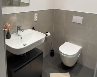 Ein modernes Badezimmer mit einem schlichten Waschbecken und einer Toilette. Die Wände sind in neutralen Grautönen gehalten, und es gibt einen kleinen schwarzen Badezimmermülleimer.