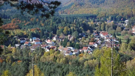 Blick vom Lindelskopf auf Ludwigswinkel (© Sebald Liesenfeld)