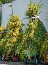 Pfingstquack Ludwigswinkel