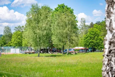 Ludwigswinkel Pfingstquack